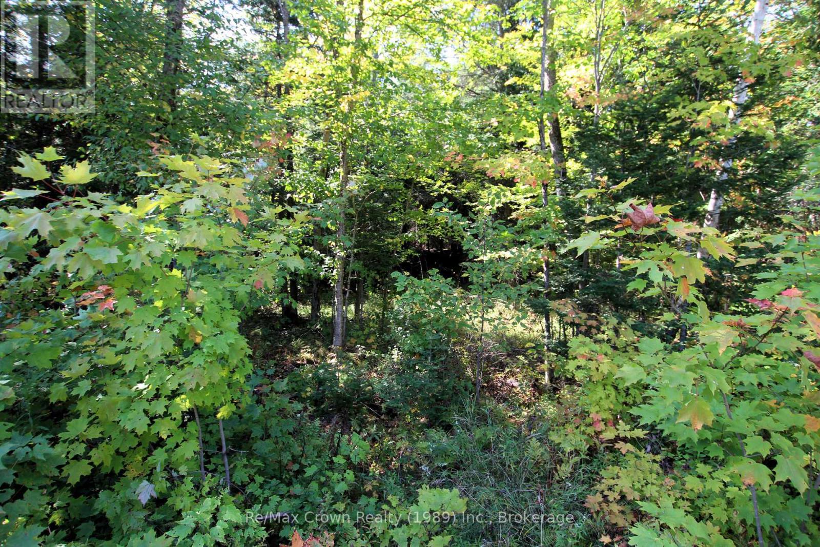 00 Lovers Lane, Unorganized District (Mills), Ontario  P0H 1S0 - Photo 4 - X11908700