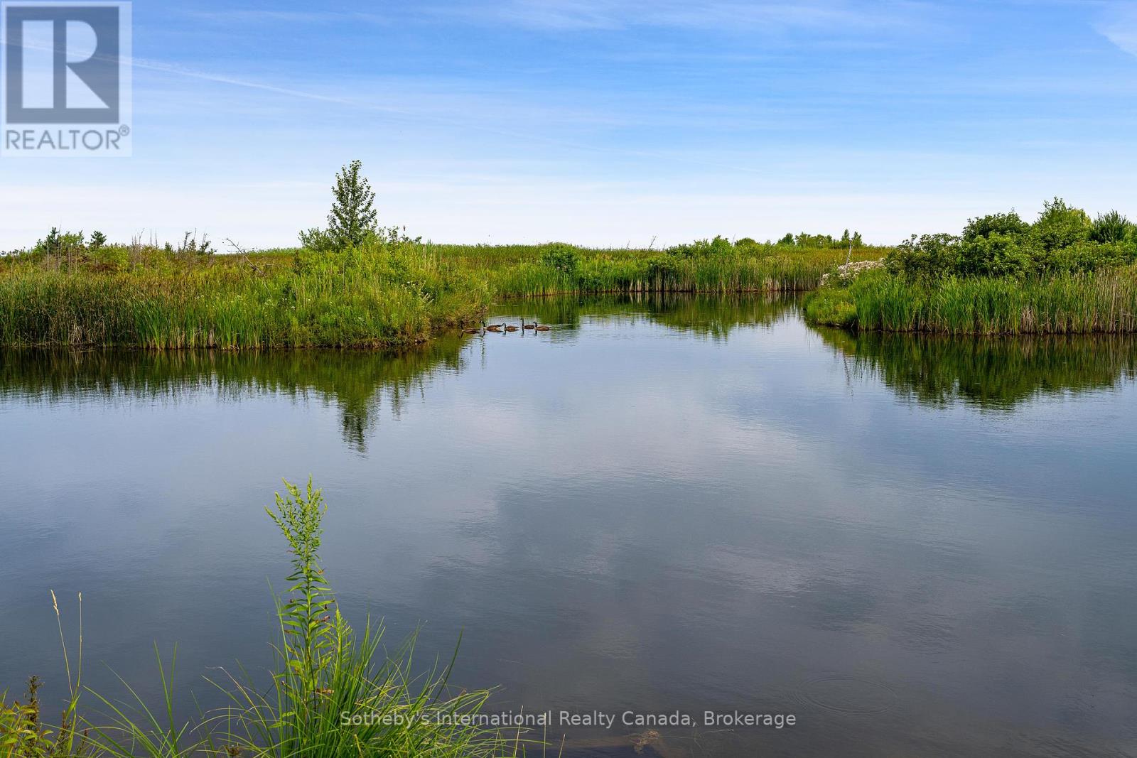 164 Bartlett Boulevard, Collingwood, Ontario  L9Y 5C9 - Photo 6 - S11908914
