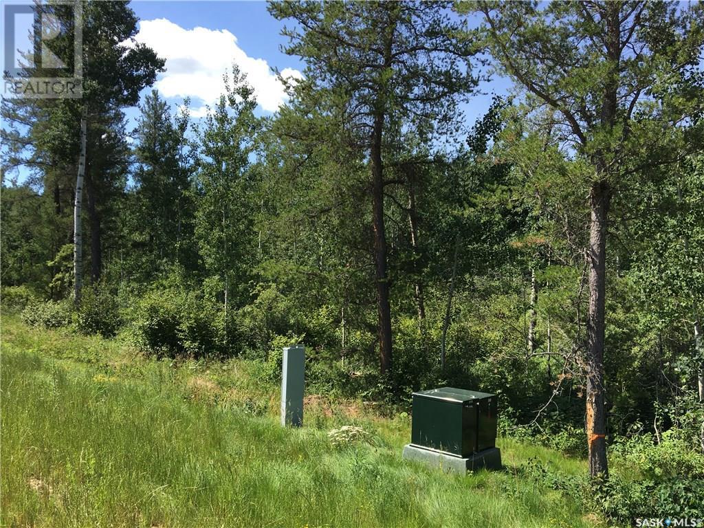 Prime Acreage Parcel 3.13 Acres, Nipawin Rm No. 487, Saskatchewan  S0E 1E0 - Photo 10 - SK992325