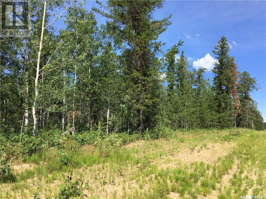 Prime Acreage Parcel 3.13 Acres, Nipawin Rm No. 487, Saskatchewan  S0E 1E0 - Photo 2 - SK992325