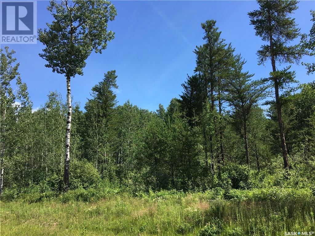 Prime Acreage Parcel 3.13 Acres, Nipawin Rm No. 487, Saskatchewan  S0E 1E0 - Photo 8 - SK992325