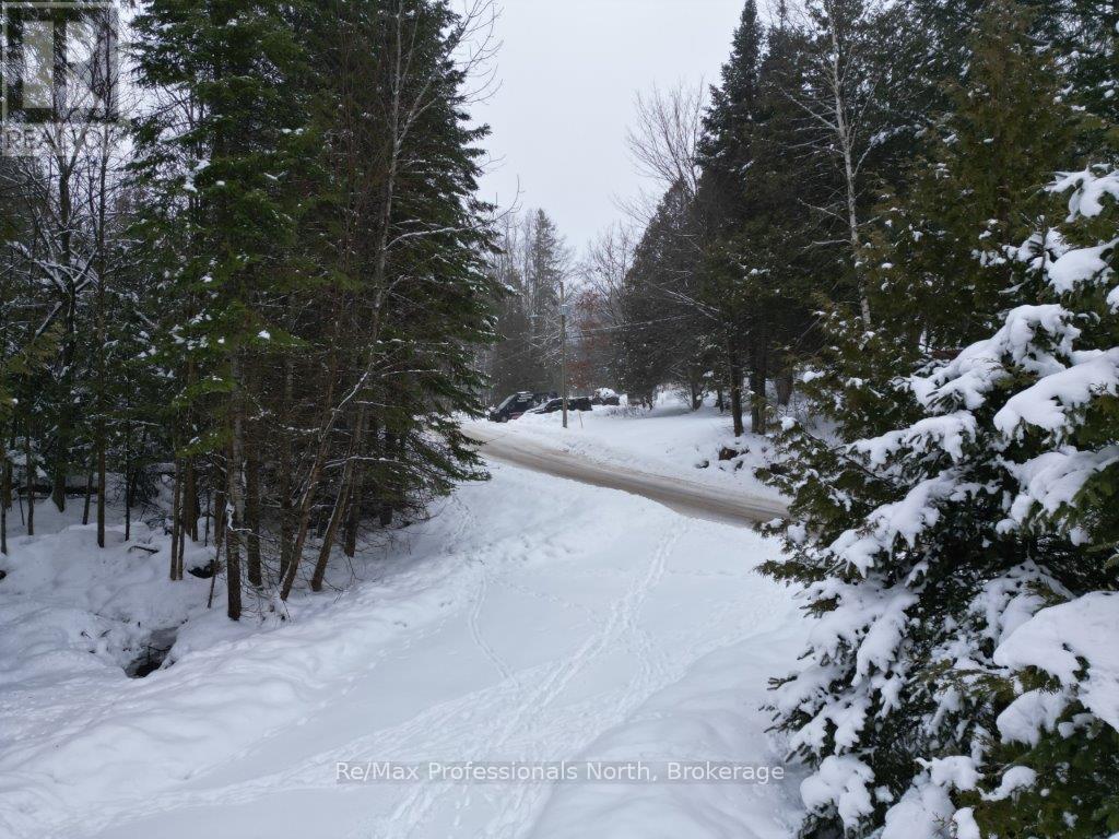 512 Mountain Street, Dysart Et Al, Ontario  K0M 2K0 - Photo 21 - X11909097