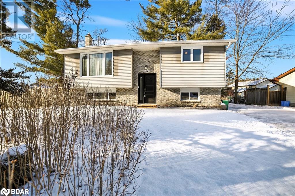 37 Tree Top Street, Angus, Ontario  L3W 0G5 - Photo 1 - 40680822