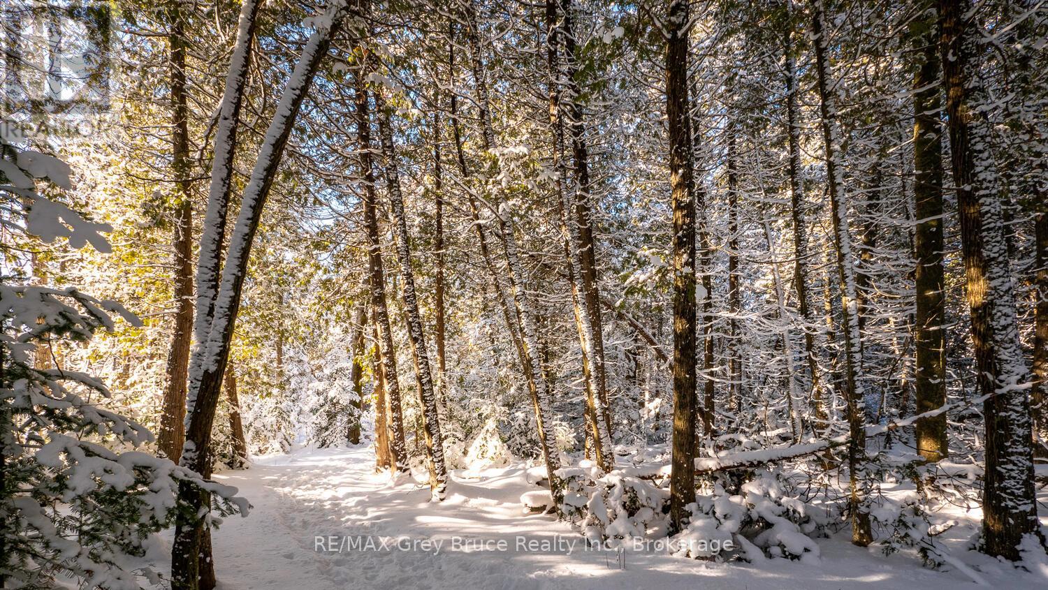 Lot 5 Trillium Crossing, Northern Bruce Peninsula, Ontario  N0H 1W0 - Photo 33 - X11909275