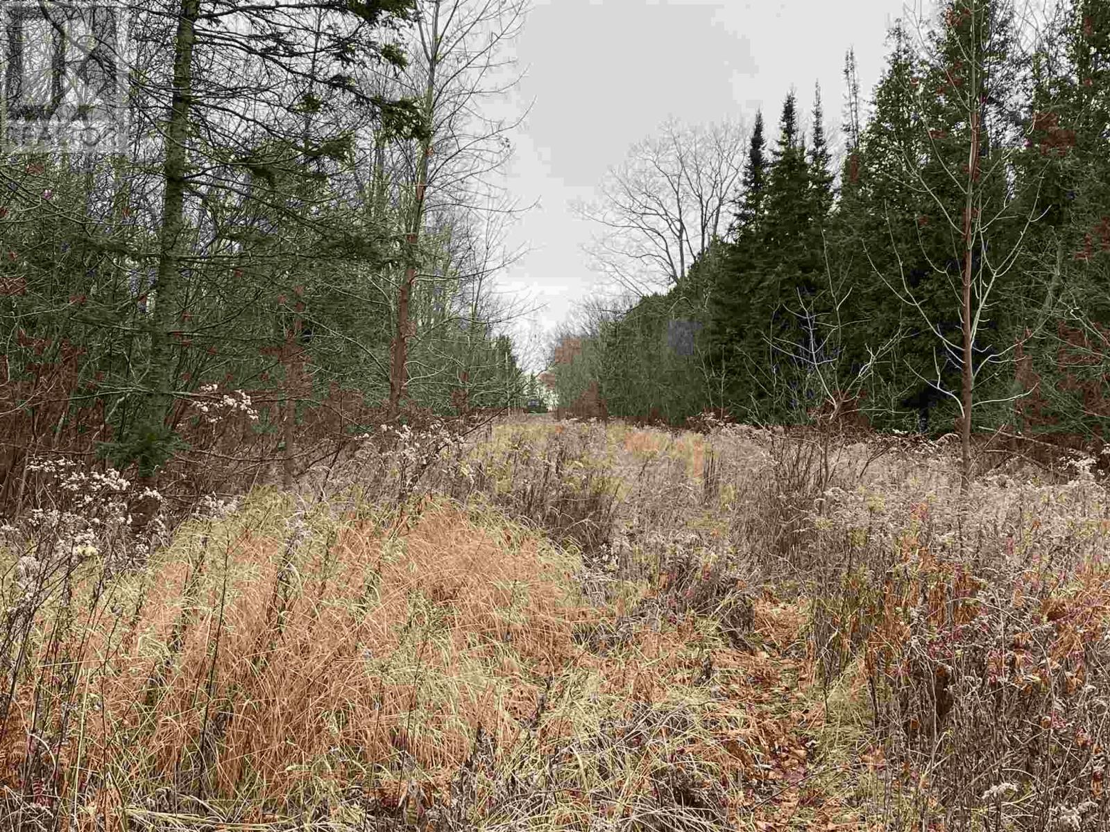 Lot 2 & 3 Con 6 Nelson Dr, Ste. Joseph Island, Ontario  P0R 1G0 - Photo 21 - SM243023