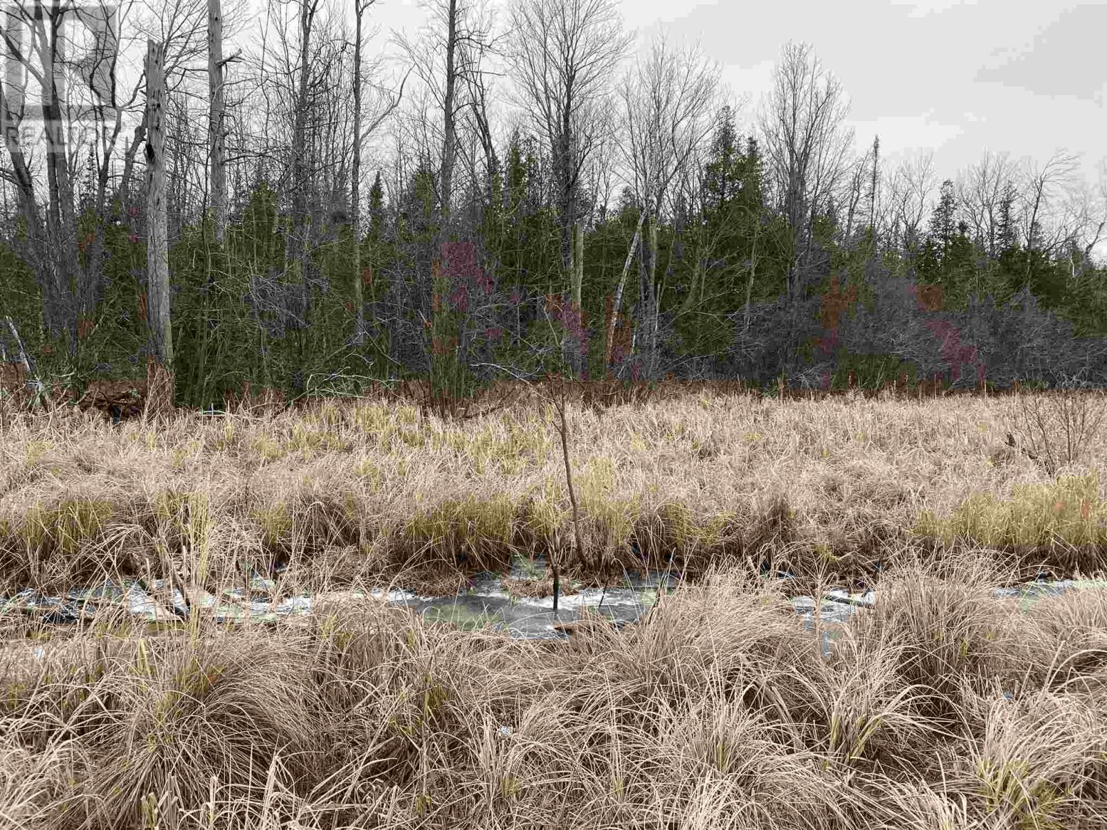 Lot 2 & 3 Con 6 Nelson Dr, Ste. Joseph Island, Ontario  P0R 1G0 - Photo 3 - SM243023