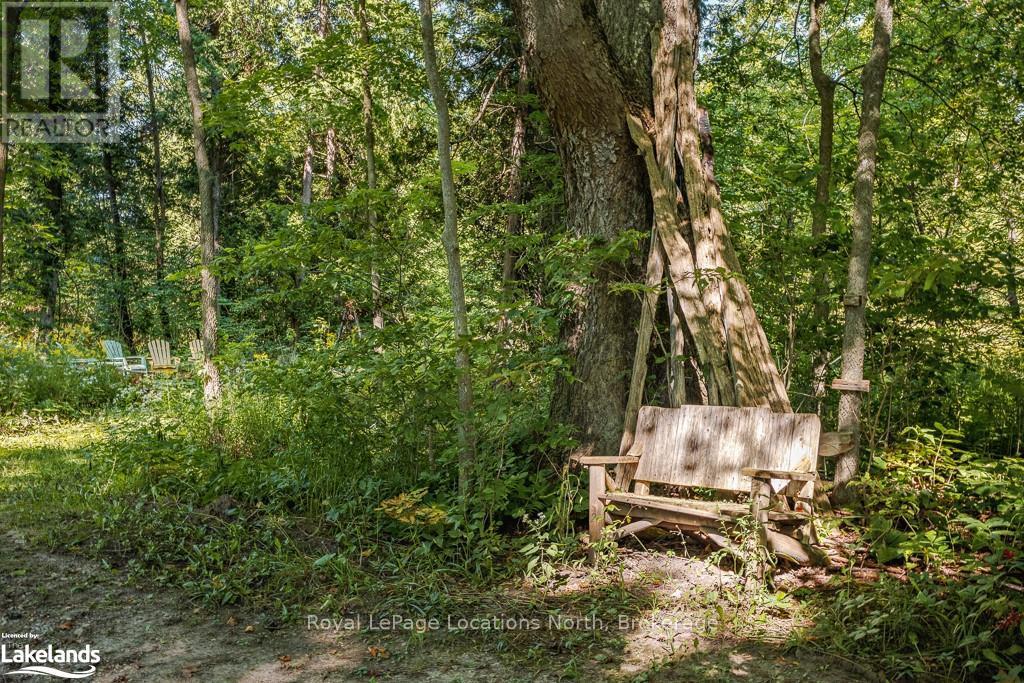 828999 Mulmur Nottawasaga Town Line, Clearview, Ontario  L0M 1K0 - Photo 20 - S10894979