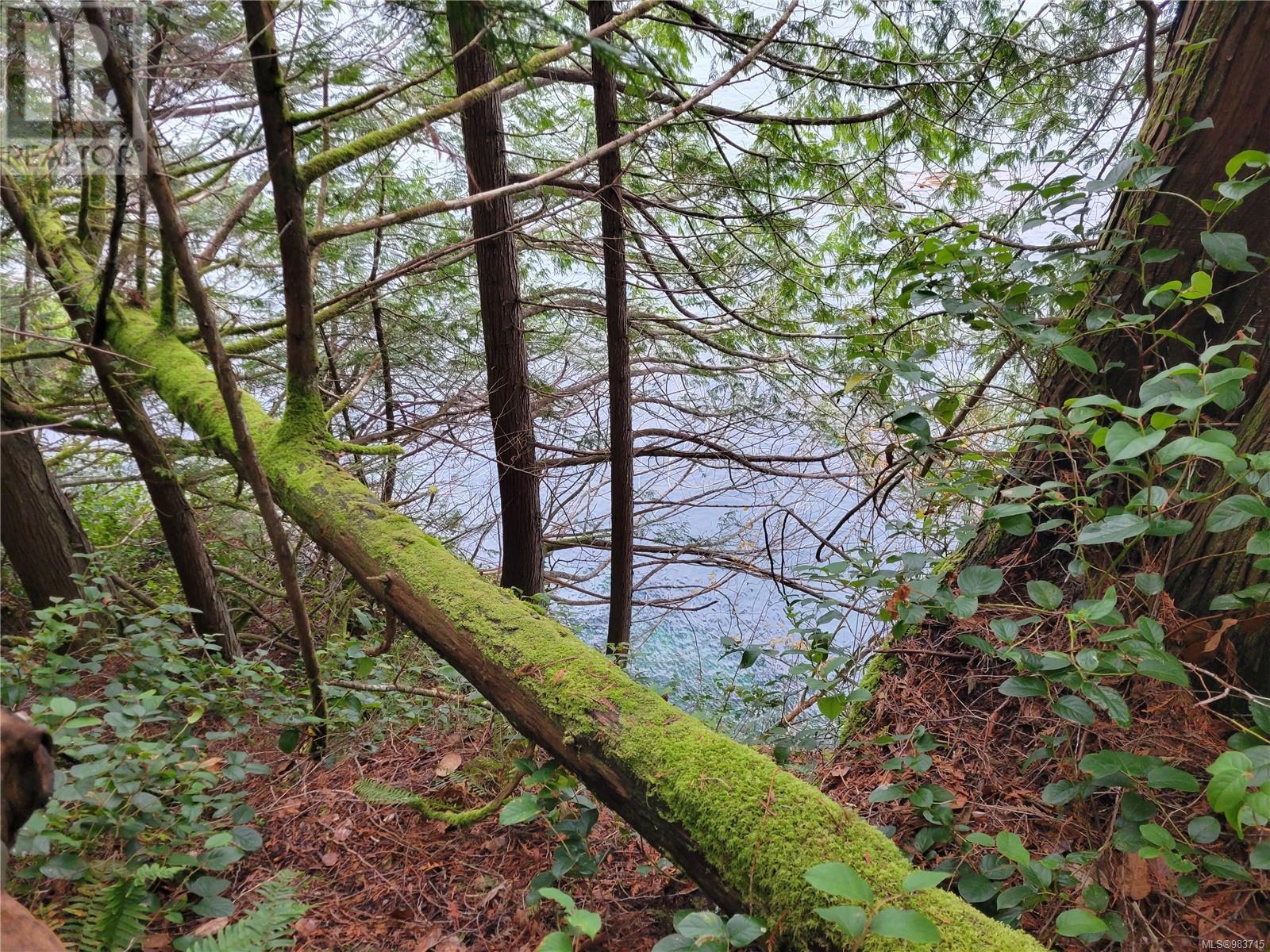 Lot 5 Discovery Passage (Off) Rd, Campbell River, British Columbia  V9W 5C1 - Photo 16 - 983715