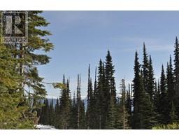 PST LOT-7 ALPINE WAY