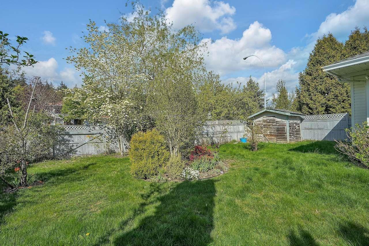 9141 143a Street, Surrey, British Columbia  V3V 7T7 - Photo 37 - R2953121