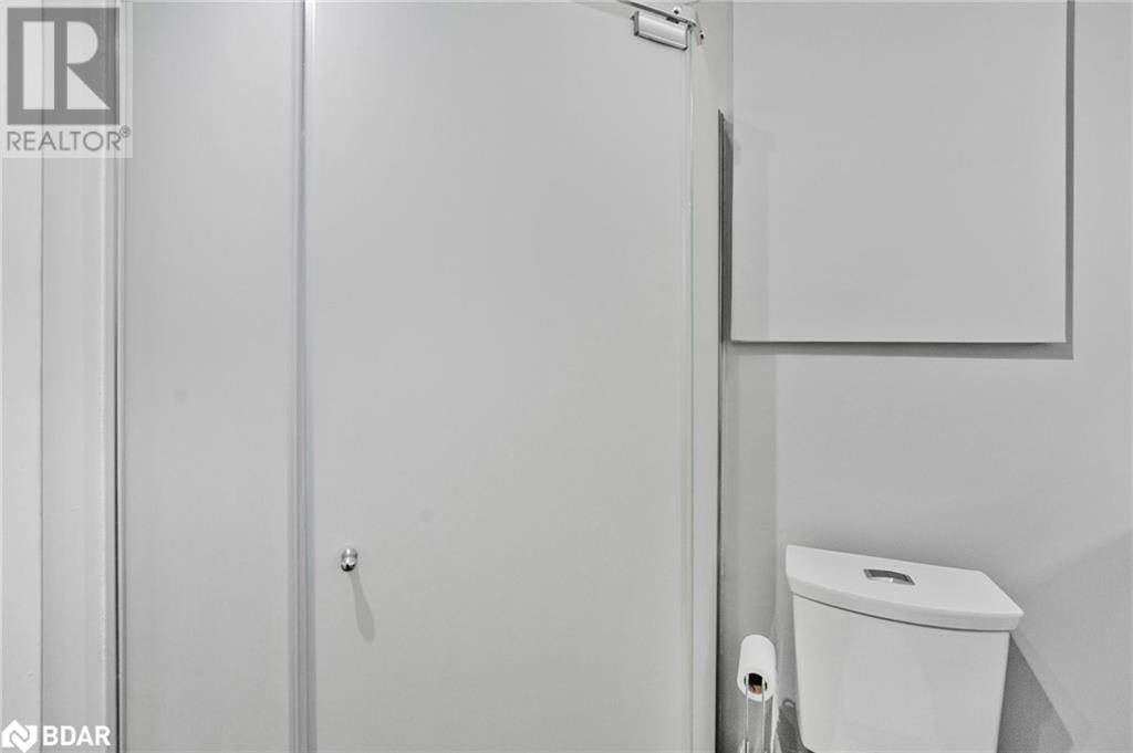 219 Steel Street, Barrie, Ontario  L4M 2G8 - Photo 33 - 40687481