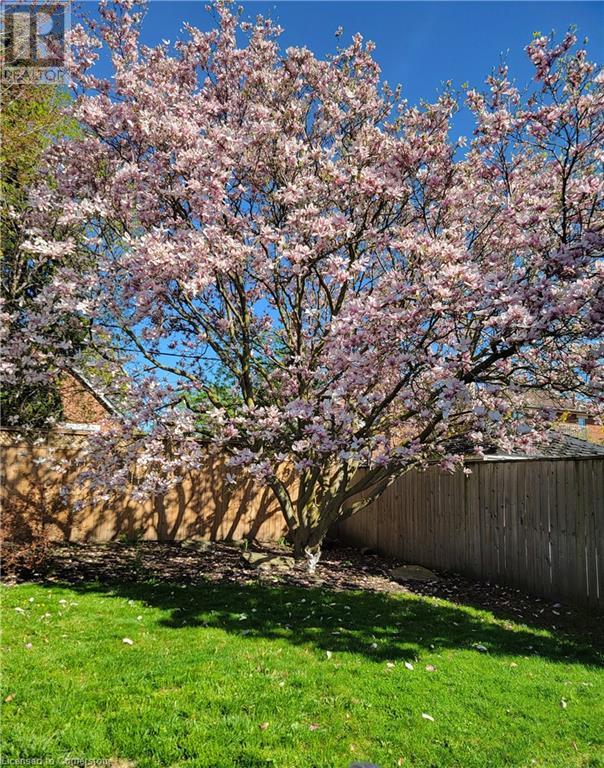 31 Pinecrest Drive, Kitchener, Ontario  N2A 2G7 - Photo 48 - 40685839