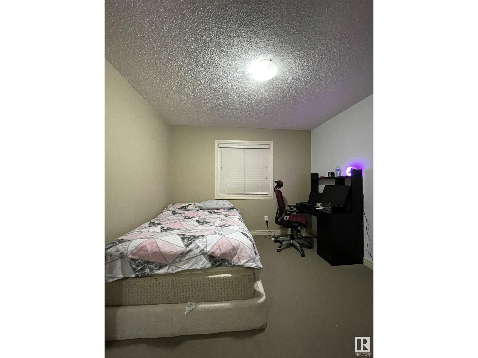 11716 17 Av Sw Sw, Edmonton, Alberta  T6W 1Y2 - Photo 28 - E4417198