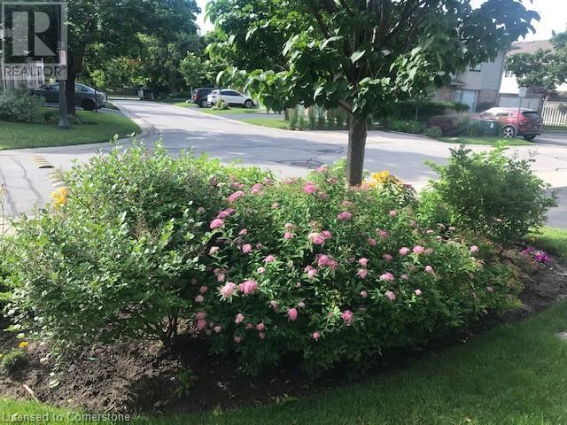 3333 New Street Unit# 78, Burlington, Ontario  L7N 1N1 - Photo 4 - 40686965