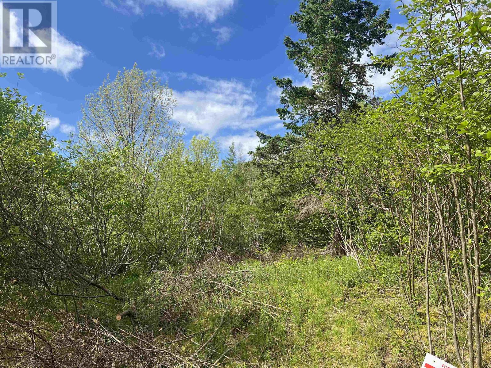 18 Jorphie Drive, East Uniacke, Nova Scotia  B0N 1X0 - Photo 1 - 202500295