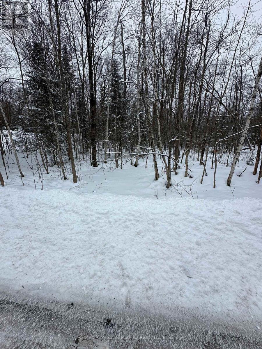 67 Pinewood Road, Mcdougall, Ontario  P2A 2W7 - Photo 5 - X11910341