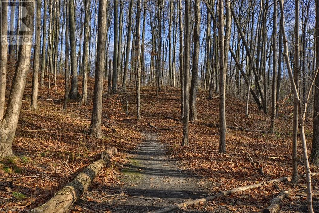 55 Green Valley Drive Unit# 709, Kitchener, Ontario  N2P 1Z6 - Photo 26 - 40688244