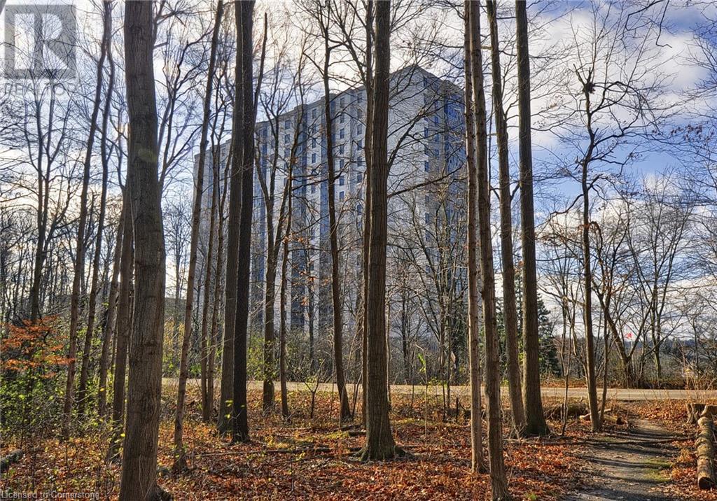 55 Green Valley Drive Unit# 709, Kitchener, Ontario  N2P 1Z6 - Photo 28 - 40688244