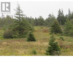 16 Old Road Extension, Colliers, Newfoundland & Labrador