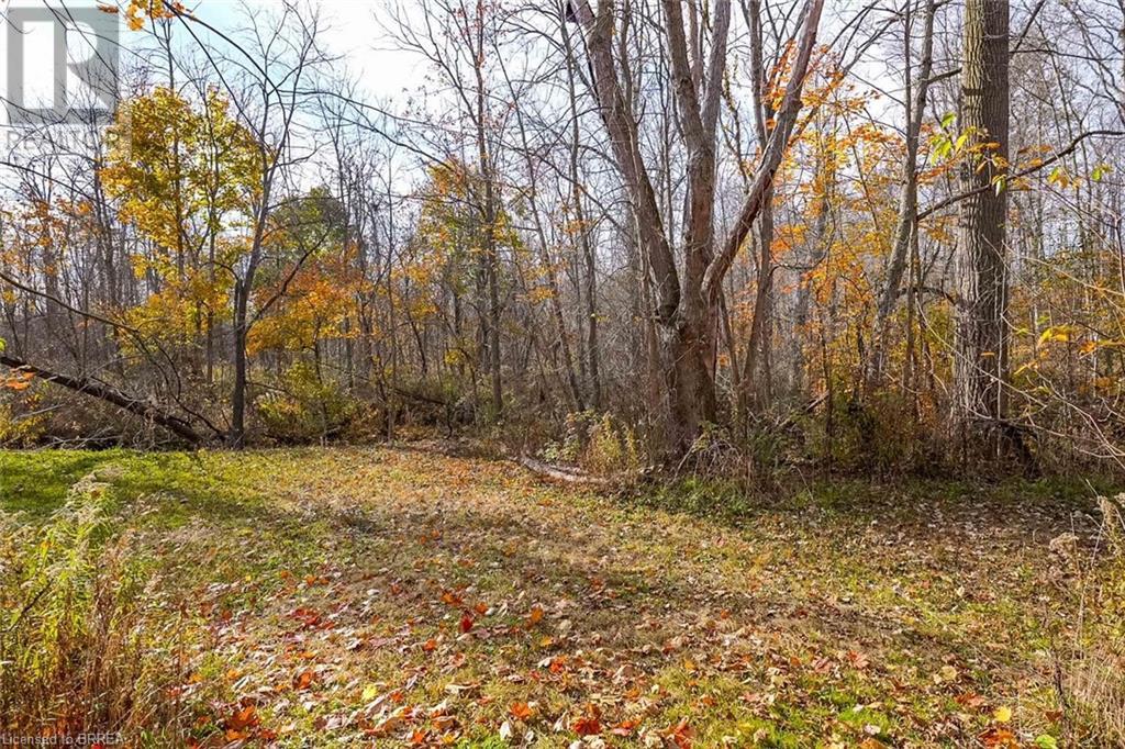 319 Cockshutt Road, Brantford, Ontario  N3T 0N3 - Photo 43 - 40687990