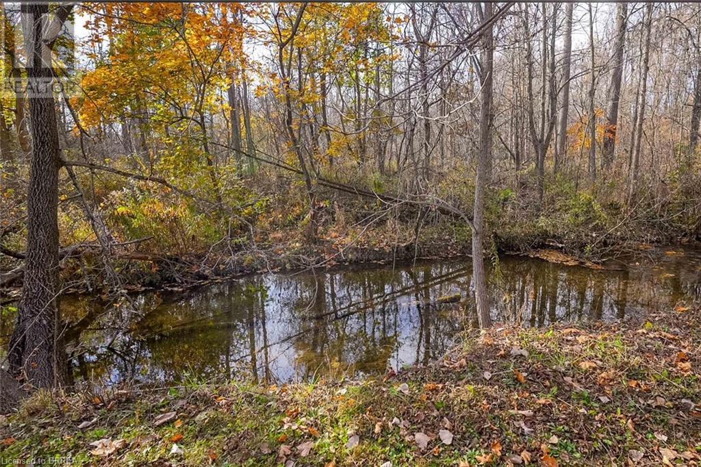 319 Cockshutt Road, Brantford, Ontario  N3T 0N3 - Photo 46 - 40687990