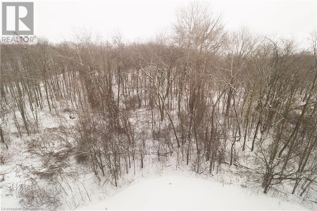 50 Bryan Court Unit# 407, Kitchener, Ontario  N2A 4N4 - Photo 21 - 40687763