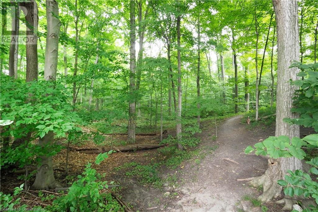 50 Bryan Court Unit# 407, Kitchener, Ontario  N2A 4N4 - Photo 46 - 40687763