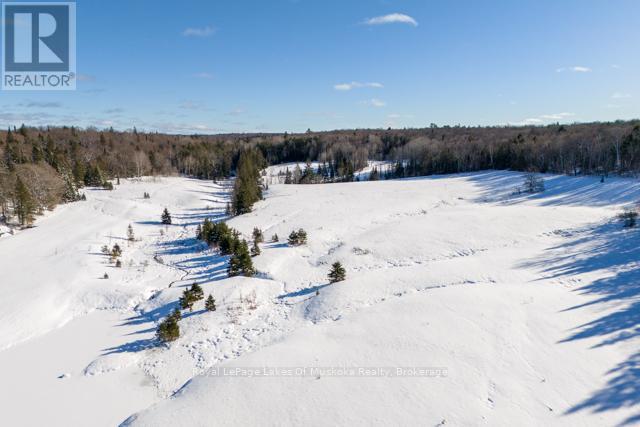 1524 Hekkla Road, Muskoka Lakes (Cardwell), Ontario  P0C 1J0 - Photo 25 - X11910420