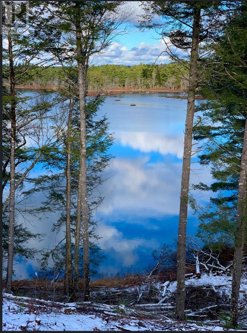 Lot 4 No 8 Highway, South Brookfield, Nova Scotia  B0T 1X0 - Photo 5 - 202500306