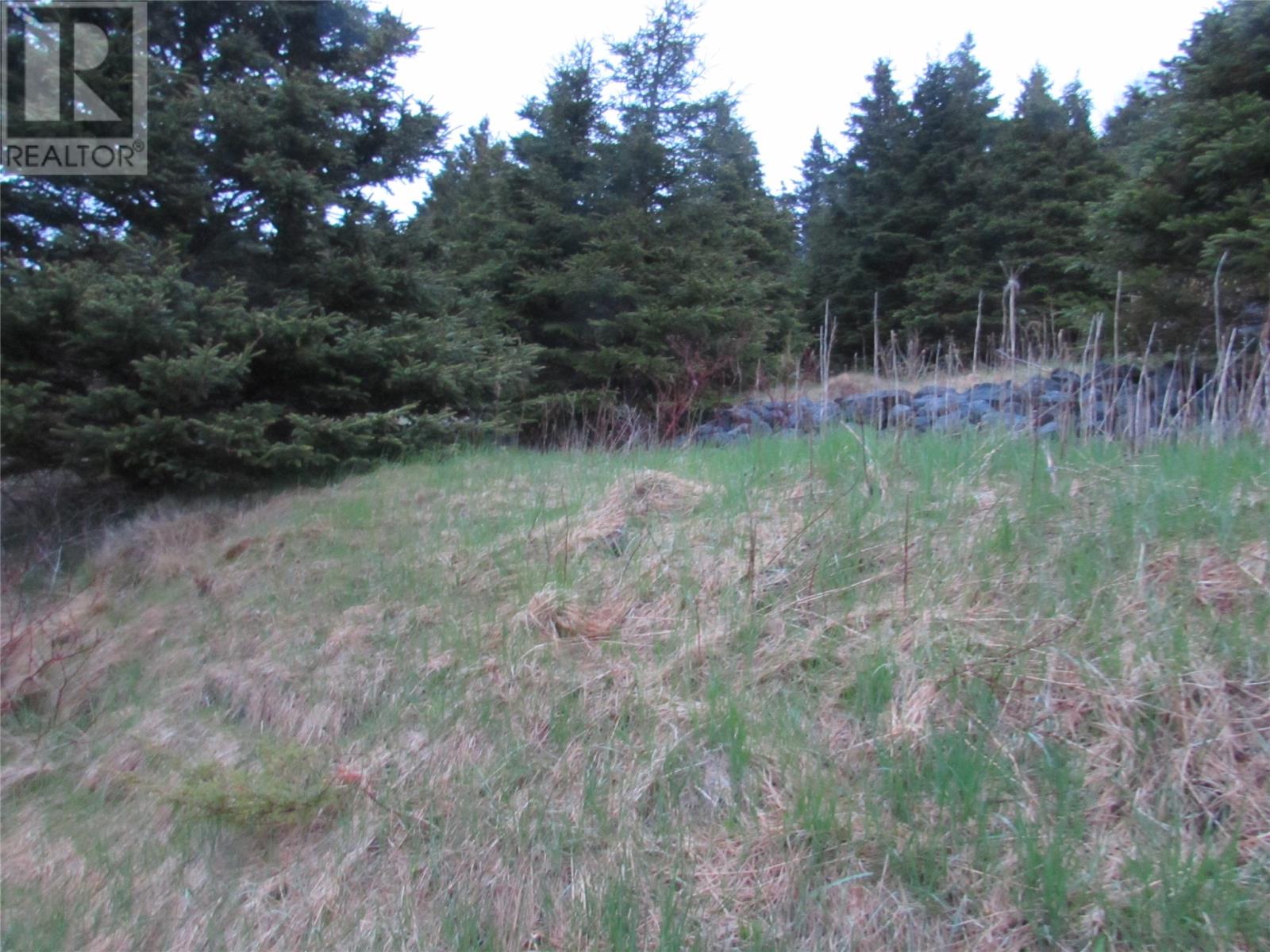 46-56 Goat Shore Road, Avondale, Newfoundland & Labrador  A0A 1B0 - Photo 19 - 1280663