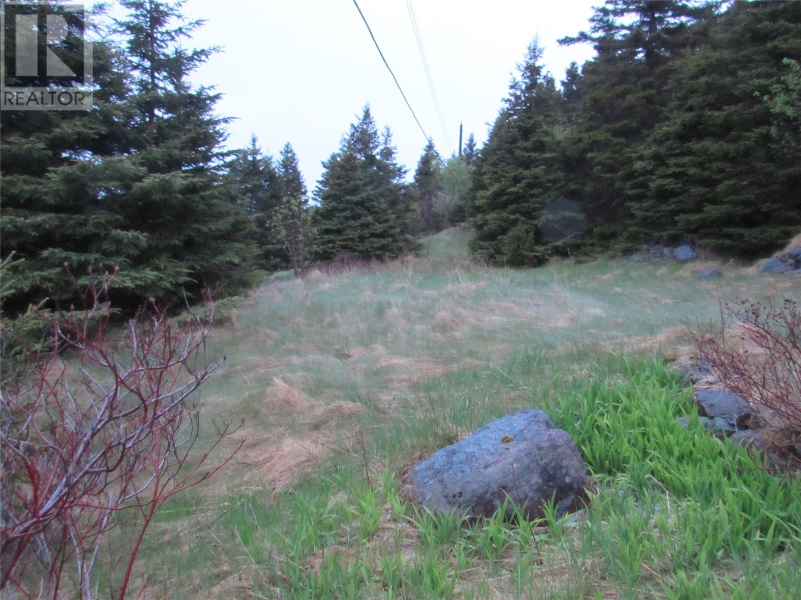 46-56 Goat Shore Road, Avondale, Newfoundland & Labrador  A0A 1B0 - Photo 24 - 1280663