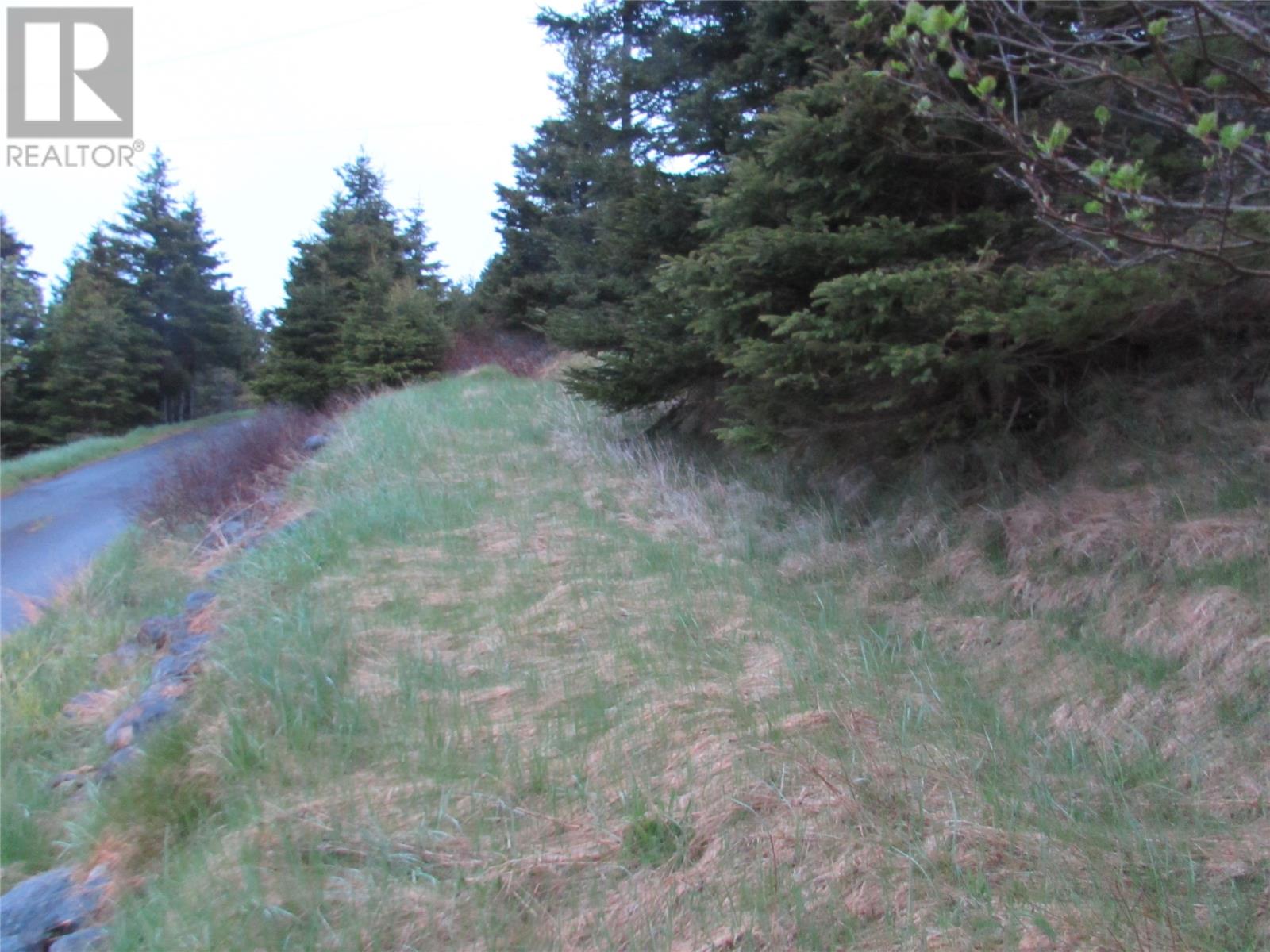 46-56 Goat Shore Road, Avondale, Newfoundland & Labrador  A0A 1B0 - Photo 7 - 1280663