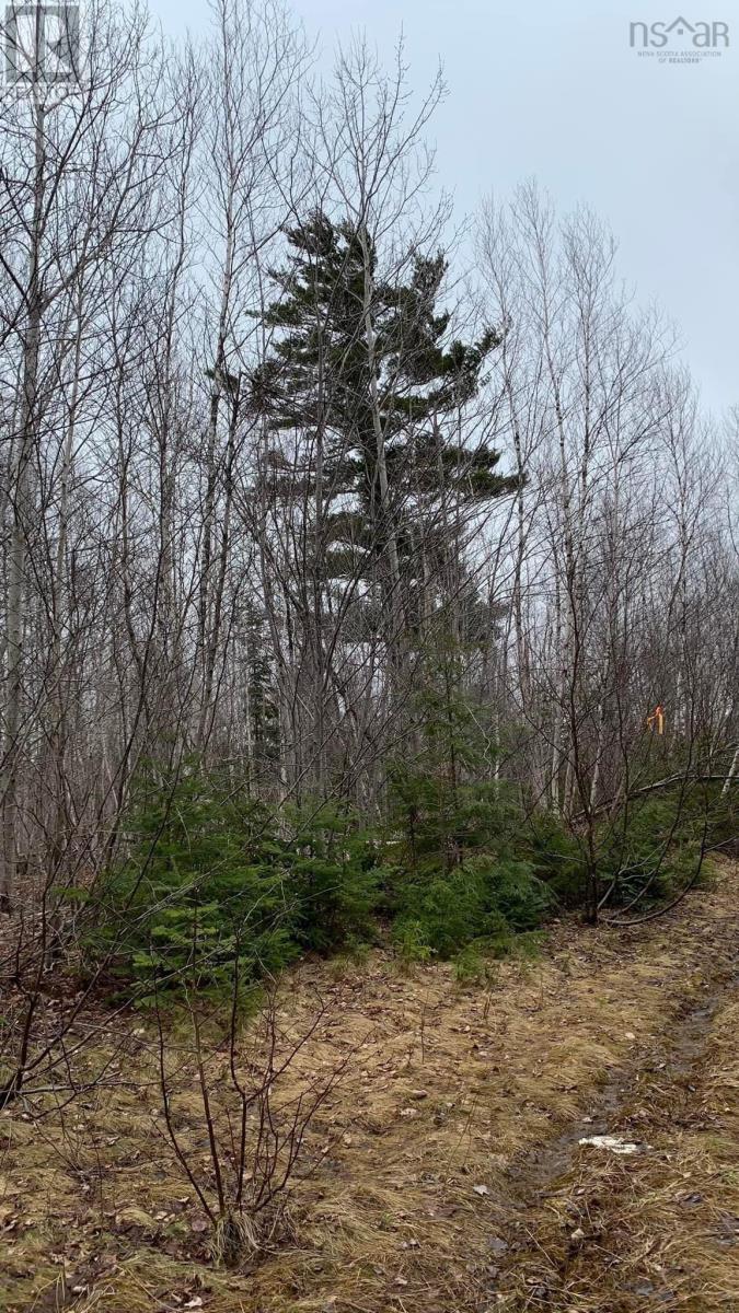 Lot 24-3 Little Harbour Road, Frasers Mountain, Nova Scotia  B2H 3T5 - Photo 8 - 202500337