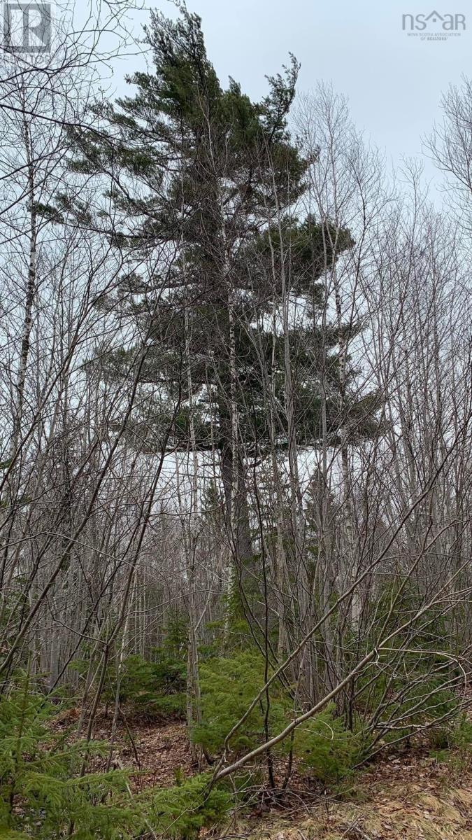 Lot 24-4 Little Harbour Road, Frasers Mountain, Nova Scotia  B2H 3T5 - Photo 12 - 202500338