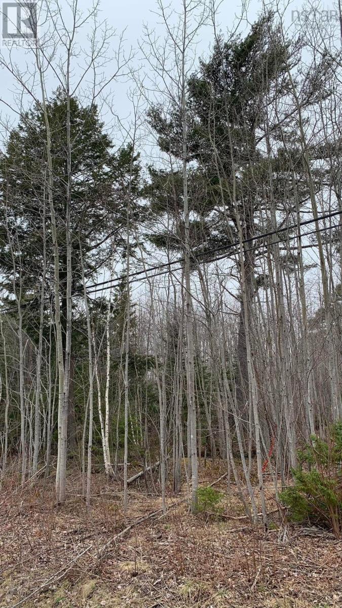 Lot 24-4 Little Harbour Road, Frasers Mountain, Nova Scotia  B2H 3T5 - Photo 5 - 202500338