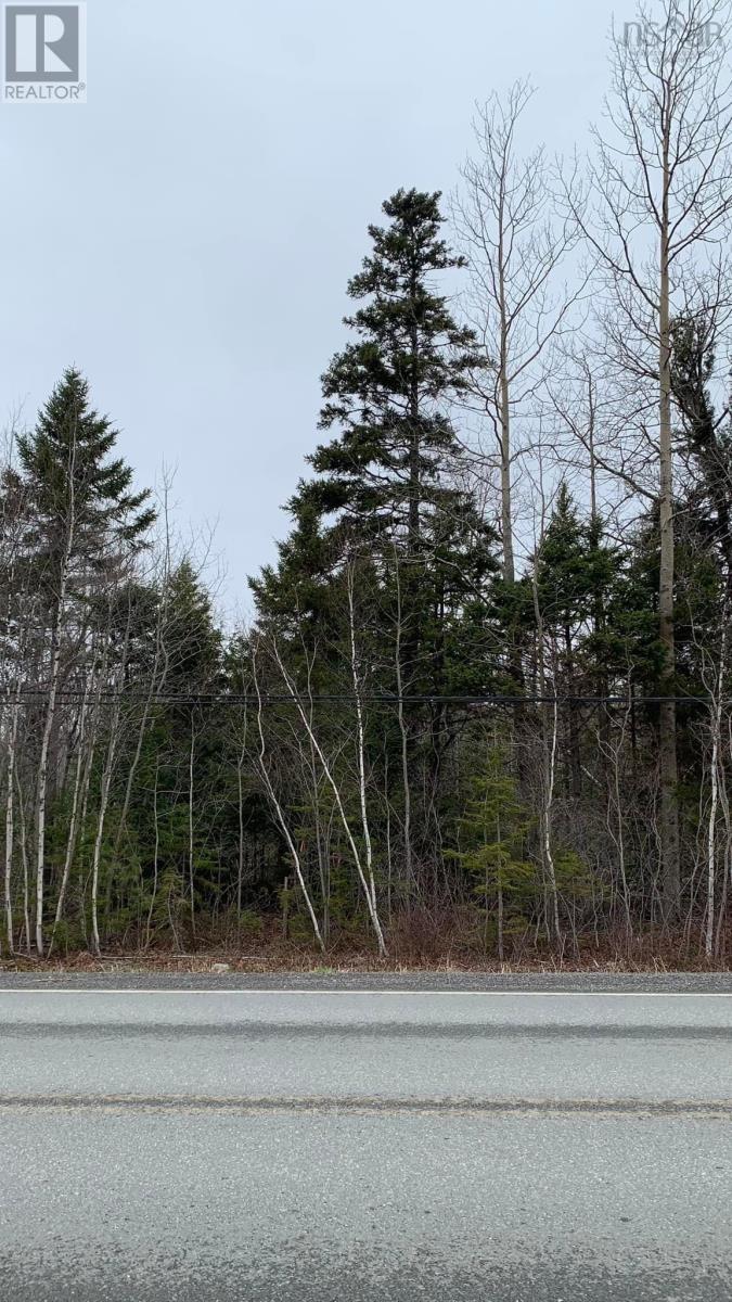 Lot 24-4 Little Harbour Road, Frasers Mountain, Nova Scotia  B2H 3T5 - Photo 7 - 202500338