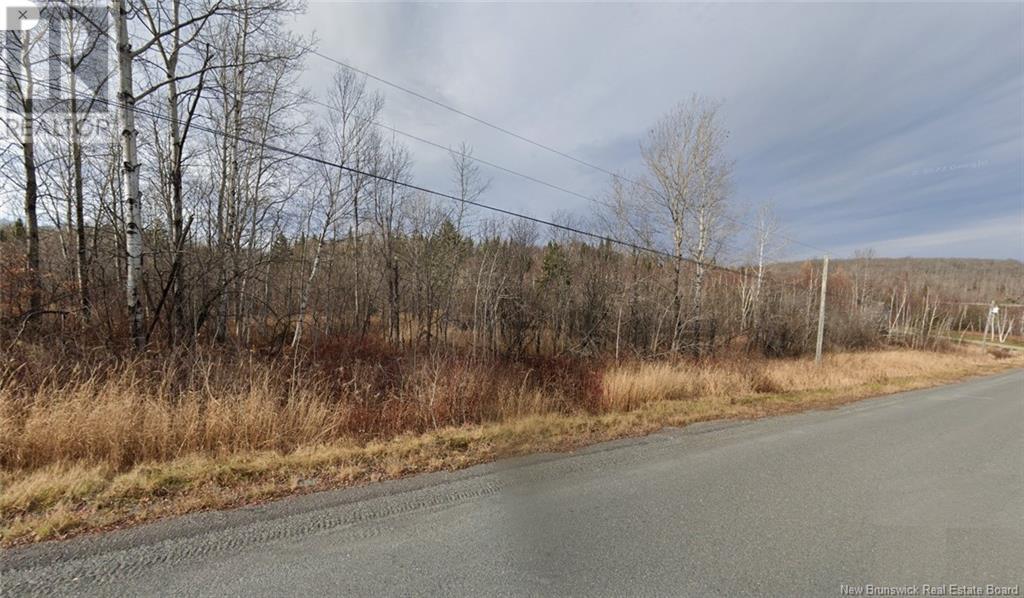 0 Rang 5, Saint-Basile, New Brunswick  E7C 2B2 - Photo 2 - NB110893