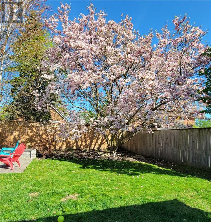 31 Pinecrest Drive, Kitchener, Ontario  N2A 2G7 - Photo 49 - 40685839