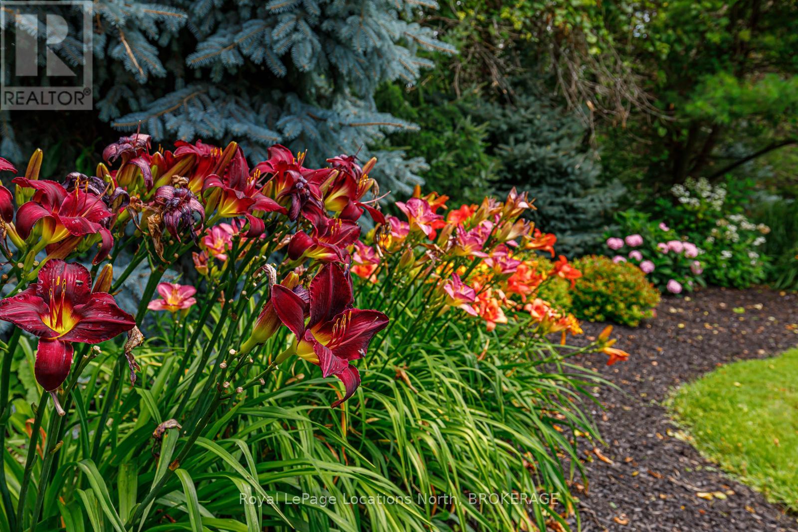 17 Trails End, Collingwood, Ontario  L9Y 5B1 - Photo 37 - S11911181