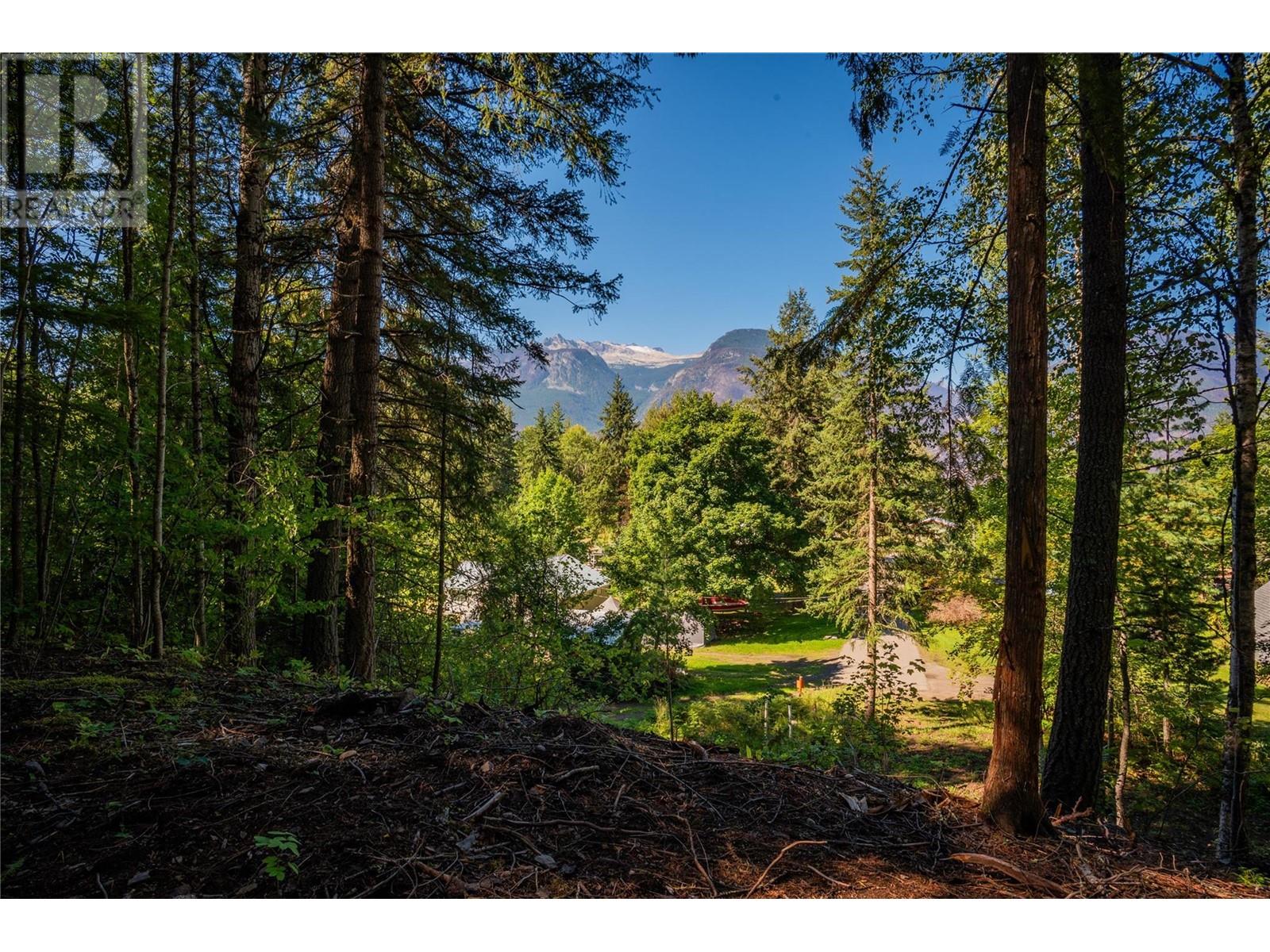 1141 Denver Siding Road E, New Denver, British Columbia  V0G 1S0 - Photo 1 - 10330809