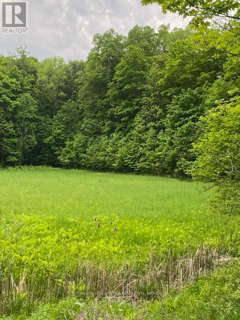 3036 John Martin Road, South Frontenac, Ontario  K0H 1W0 - Photo 3 - X11911461