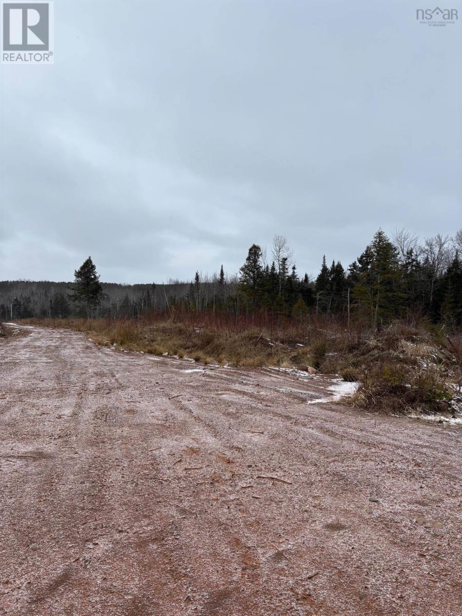 Mosher Road, Rhines Creek, Nova Scotia  B0N 2H0 - Photo 10 - 202427881