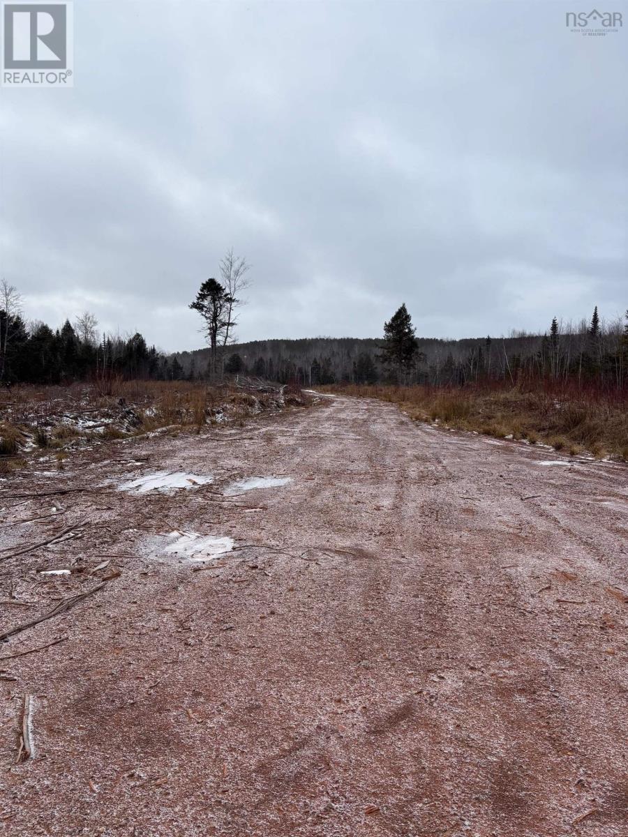 Mosher Road, Rhines Creek, Nova Scotia  B0N 2H0 - Photo 11 - 202427881