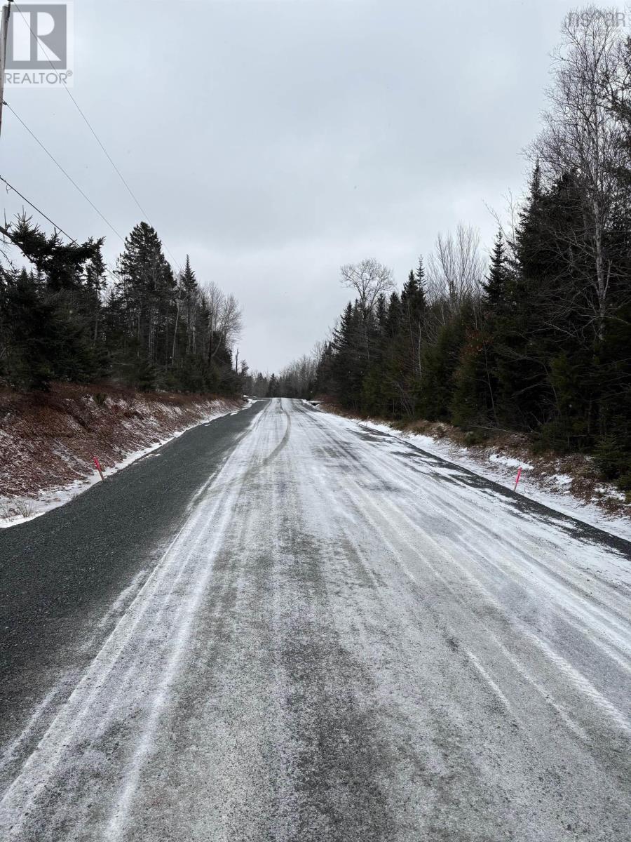 Mosher Road, Rhines Creek, Nova Scotia  B0N 2H0 - Photo 2 - 202427881