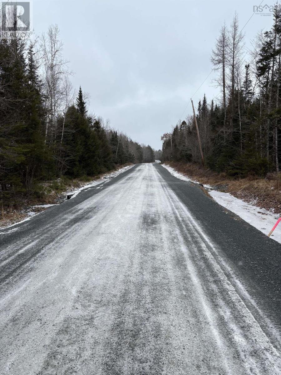 Mosher Road, Rhines Creek, Nova Scotia  B0N 2H0 - Photo 3 - 202427881
