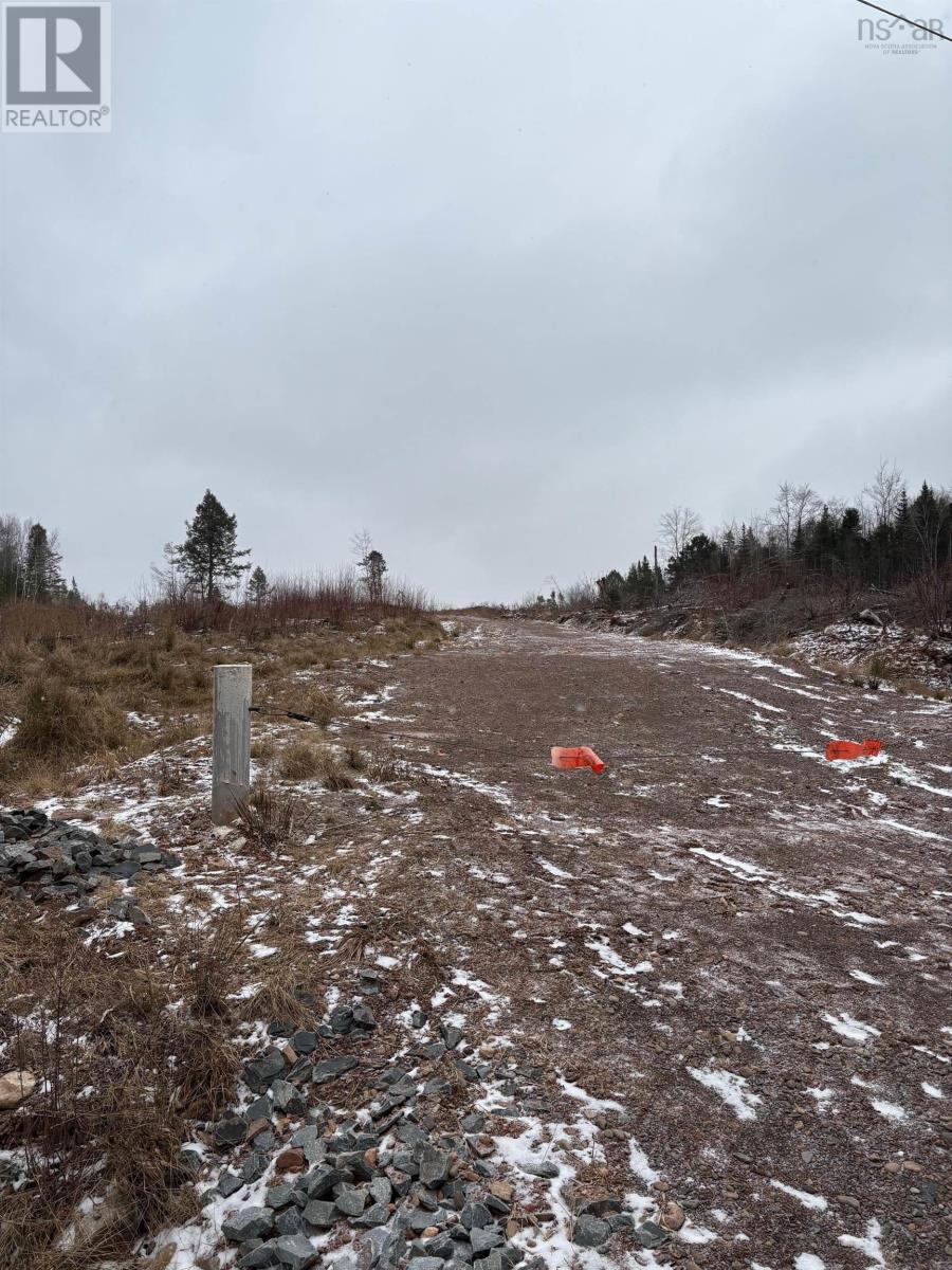 Mosher Road, Rhines Creek, Nova Scotia  B0N 2H0 - Photo 4 - 202427881
