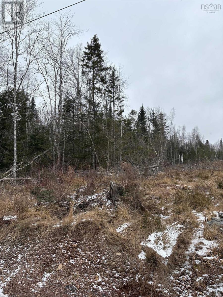 Mosher Road, Rhines Creek, Nova Scotia  B0N 2H0 - Photo 5 - 202427881