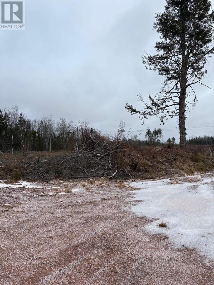 Mosher Road, Rhines Creek, Nova Scotia  B0N 2H0 - Photo 6 - 202427881
