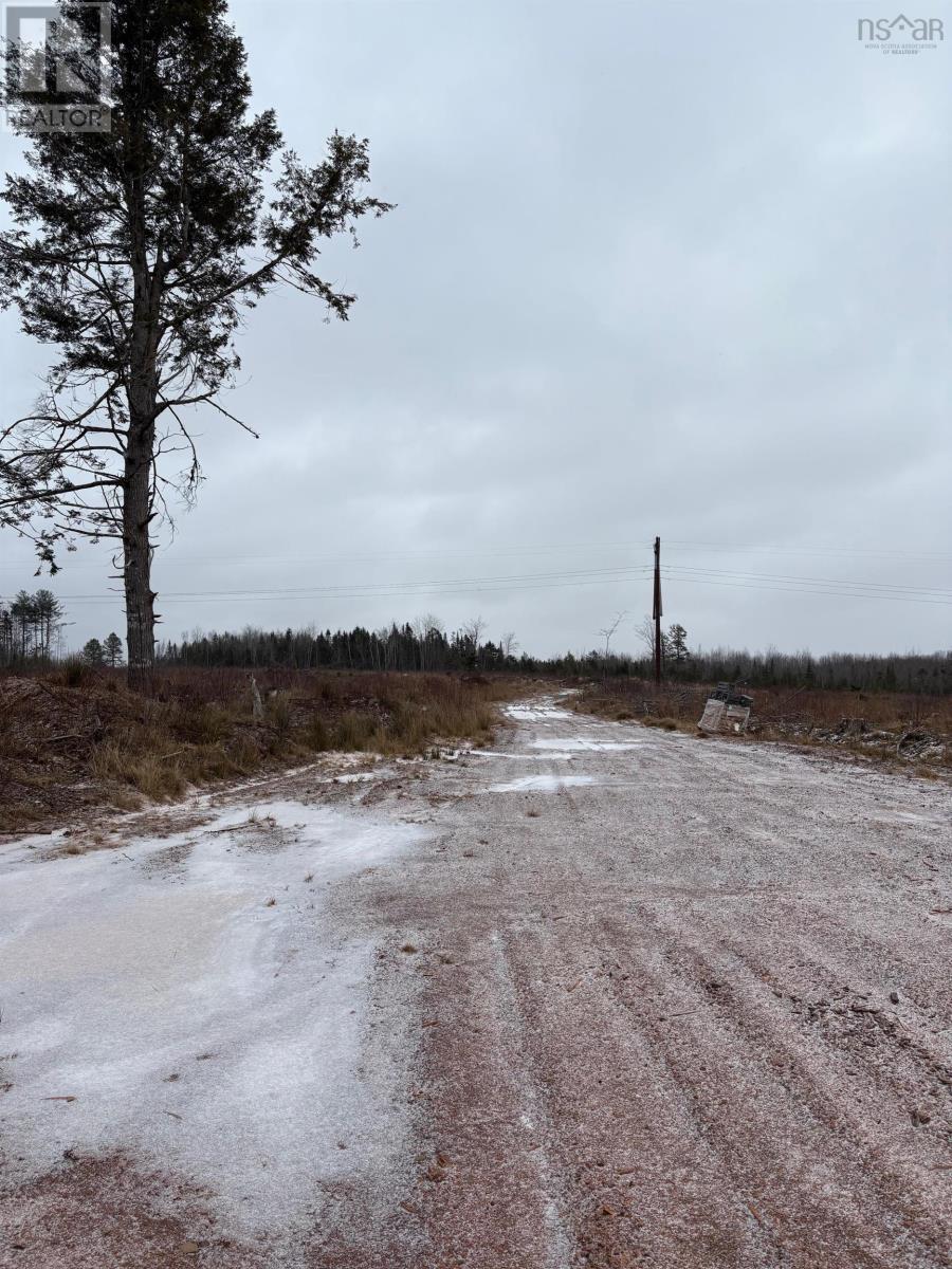 Mosher Road, Rhines Creek, Nova Scotia  B0N 2H0 - Photo 7 - 202427881