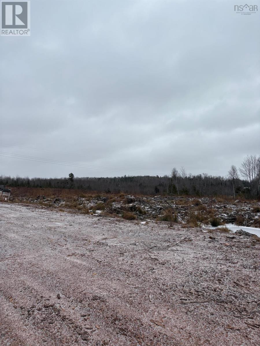 Mosher Road, Rhines Creek, Nova Scotia  B0N 2H0 - Photo 8 - 202427881